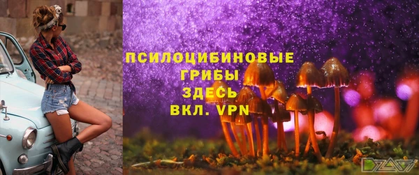 мяу мяу мука Михайловка
