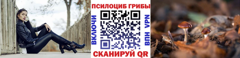 Галлюциногенные грибы мицелий  KRAKEN ссылки  Нижневартовск 